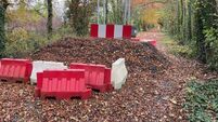 Closed road to Castledermot will not re-open this year