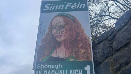 Election posters vandalised in Monasterevin