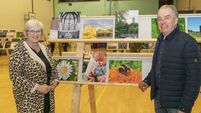 Athy Photographic Society snappers showcase work