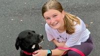 Kildare Rescue Tails: Grace raises €5,000 for shelter fund