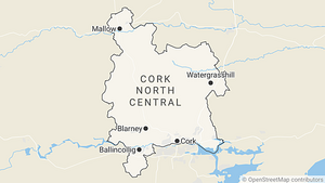 Crucial constituencies: Cork North-Central profile – Candidates and issues