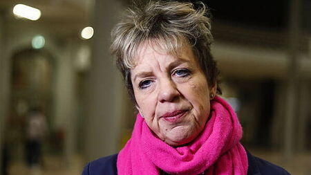 Ivana Bacik repeats Labour's plan to introduce state-run integration centres