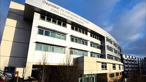 Woman in critical condition following assault in Cork Woman in critical condition following assault in Cork