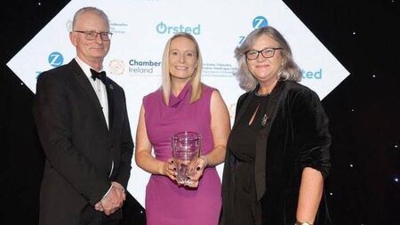 Kildare County Council receive excellence award