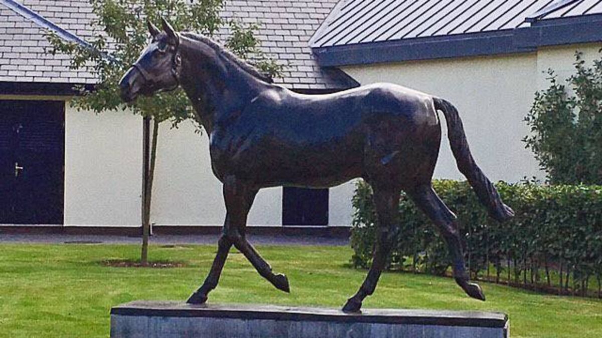 Newbridge Kildare Lions Club launches charity auction