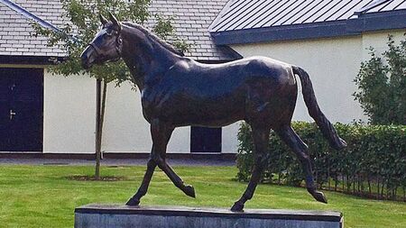 Newbridge Kildare Lions Club launches charity auction