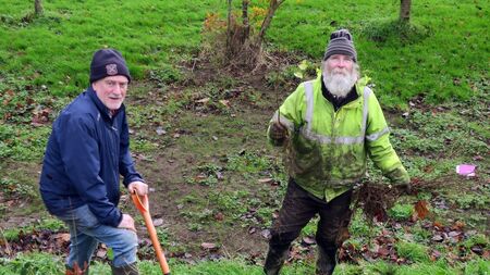 4,500 trees planted at Kilcullen's Field of Dreams