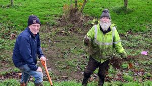 4,500 trees planted at Kilcullen's Field of Dreams 4,500 trees planted at Kilcullen's Field of Dreams