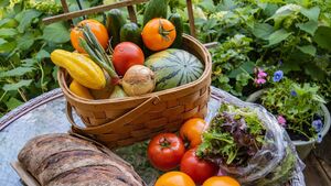 Living Greener: Communities should bypass the supermarkets and buy straight from farmers