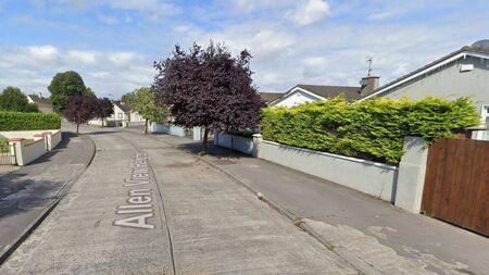 Kildare estate's footpaths in 'awful state'