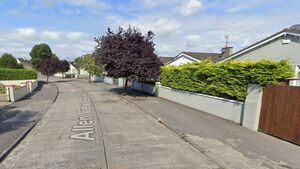 Kildare estate's footpaths in 'awful state'