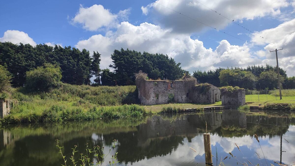 Council looks at Naas-Corbally Blueway
