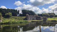 Council looks at Naas-Corbally Blueway 