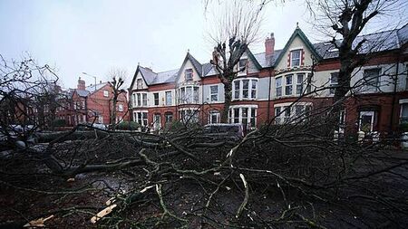 Storm Darragh: It could be the end of the week before power restored to all - ESB