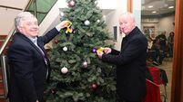 Tree of Remembrance launched at UPMC Kildare