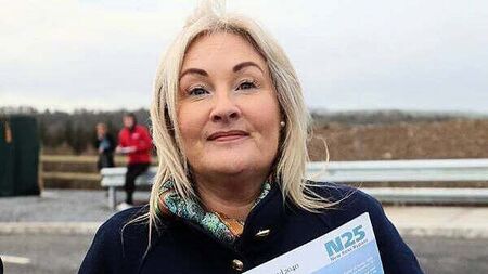 TDs raise concerns about the public’s disengagement with politics