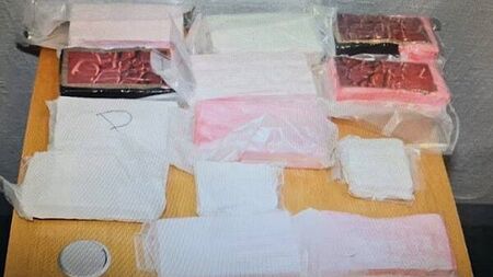 Man (30s) arrested following €840,000 cocaine seizure in Cork