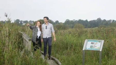 Jetty suggested for Pollardstown Fen