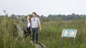 Jetty suggested for Pollardstown Fen Jetty suggested for Pollardstown Fen