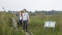Jetty suggested for Pollardstown Fen