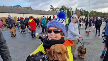 Curragh dog walk on Sunday