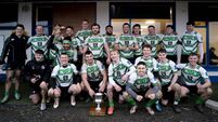 Vaughan seals Naas win with second half try