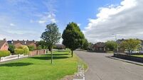 No funding for Newbridge estate landscaping