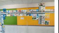 Kildare schools win county art awards 