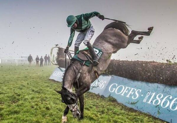 Overall Photographer of the Year Ned Mahon's photo from the Thyestes Chase at Gowran Park, Kilkenny which was part of his award winning submission Overall Photographer of the Year Ned Mahon's photo from the Thyestes Chase at Gowran Park, Kilkenny which was part of his award winning submission
