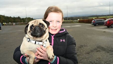 Curragh dog walk in aid of Kildare Animal Foundation