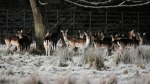 Emergency team meeting as country braces for ‘multi-hazard weather event’