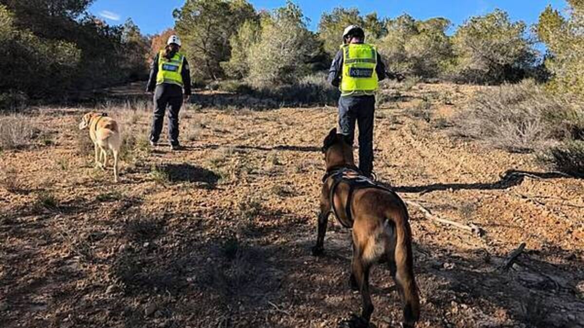 Brother of Belfast man missing in Spain makes appeal to find body