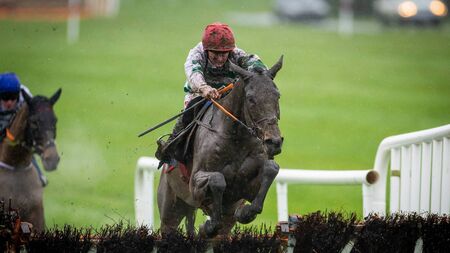 The Yellow Clay takes Lawlors of Naas Novice Hurdle for Elliott