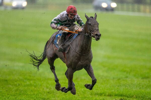  Sam Ewing on The Yellow Clay wins The Lawlor`s Of Naas Novice Hurdle (Grade 1) Photo: ©INPHO/Morgan Treacy