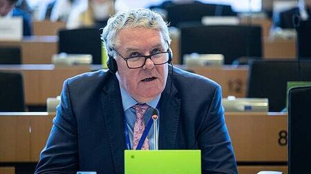 MEP calls for Mercosur opposition to be red line in Government formation talks