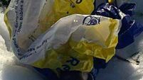 Newborn puppies killed and left by roadside 