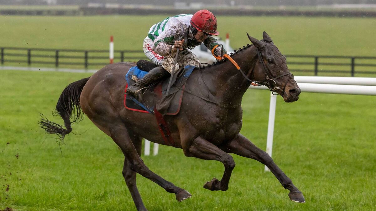Lawlor's of Naas Novice Hurdle winner among a galaxy of stars set for Dublin Racing Festival