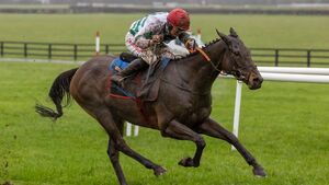 Lawlor's of Naas Novice Hurdle winner among a galaxy of stars set for Dublin Racing Festival