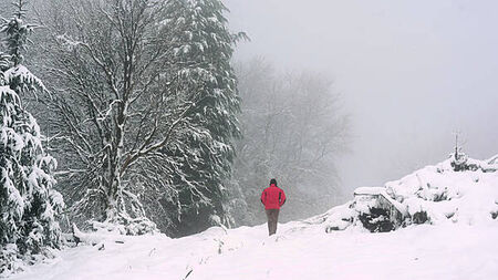 Temperatures reach close to -7 degrees overnight with yellow warning still in place