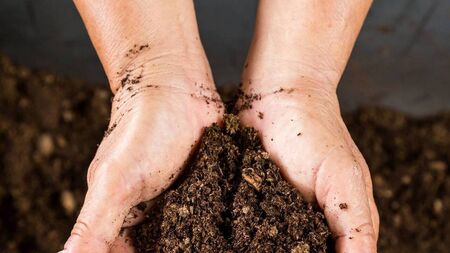 Living Greener: Waste does not exist in nature