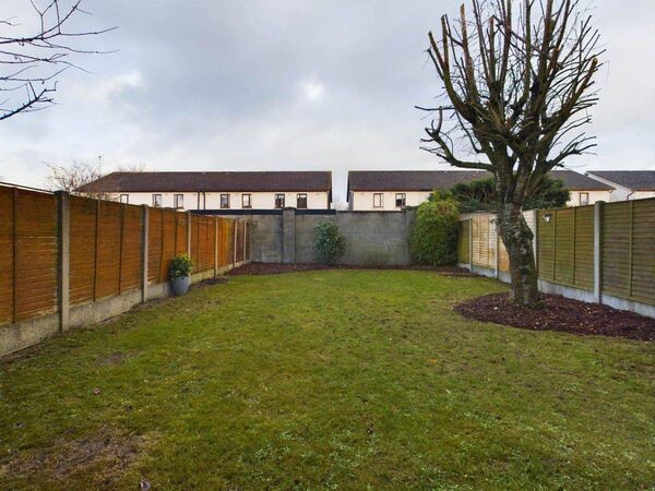 Back garden