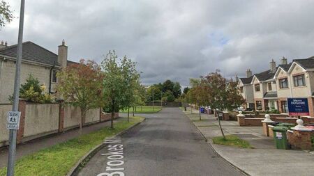 Kildare estates set to be taken in charge by council