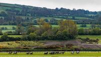Racing at Punchestown today