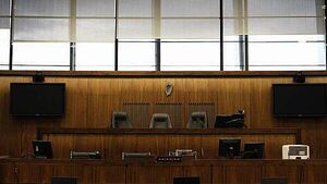 Lawyers ask for leniency for man who fired semi-automatic rifle from Dublin home Lawyers ask for leniency for man who fired semi-automatic rifle from Dublin home