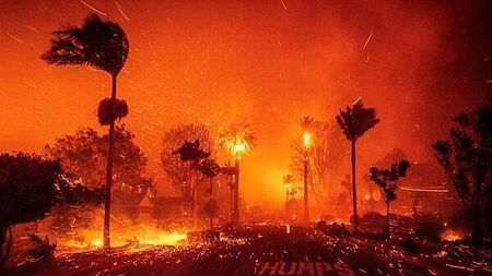 Small number of Irish citizens affected by LA wildfires, Tánaiste says