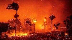 Small number of Irish citizens affected by LA wildfires, Tánaiste says