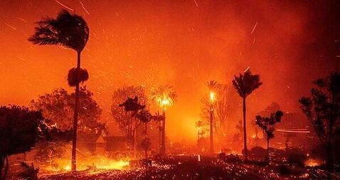 Small number of Irish citizens affected by LA wildfires, Tánaiste says