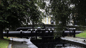 Council to clean Dublin 'cherry tomato bridge' as landmark goes viral