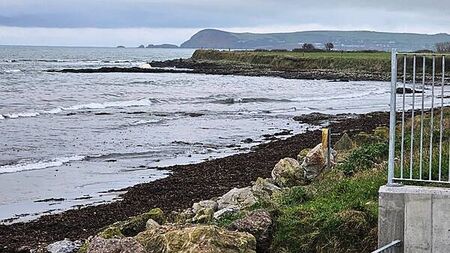 Dead whale washed ashore on rocks in Waterford