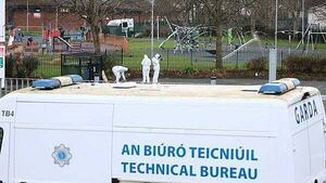 Murder investigation launched into death of man in Bray